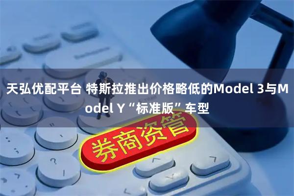 天弘优配平台 特斯拉推出价格略低的Model 3与Model Y“标准版”车型
