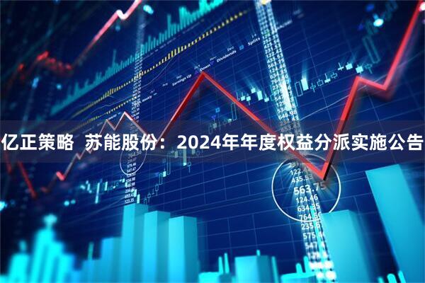 亿正策略  苏能股份：2024年年度权益分派实施公告