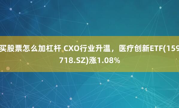 买股票怎么加杠杆 CXO行业升温，医疗创新ETF(159718.SZ)涨1.08%