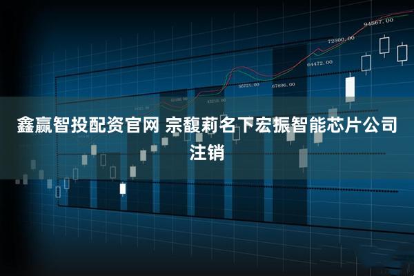 鑫赢智投配资官网 宗馥莉名下宏振智能芯片公司注销